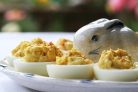 Закуска из фаршированных яиц