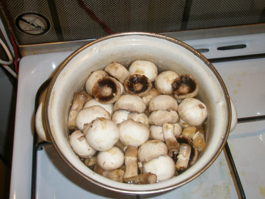 Рецепт Телятина с грибами в сметане