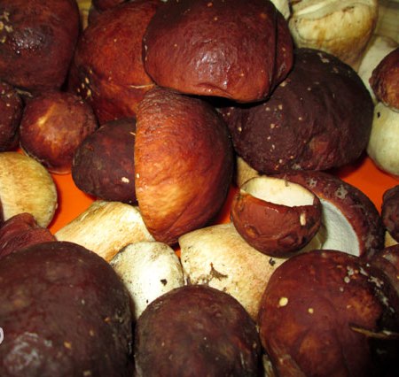 Рецепт Маринованные белые грибы быстрого приготовления