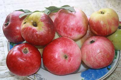 Рецепт Варенье из яблок без стерилизации