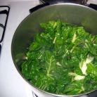 Рецепт Весенний салат с редисом и петрушкой