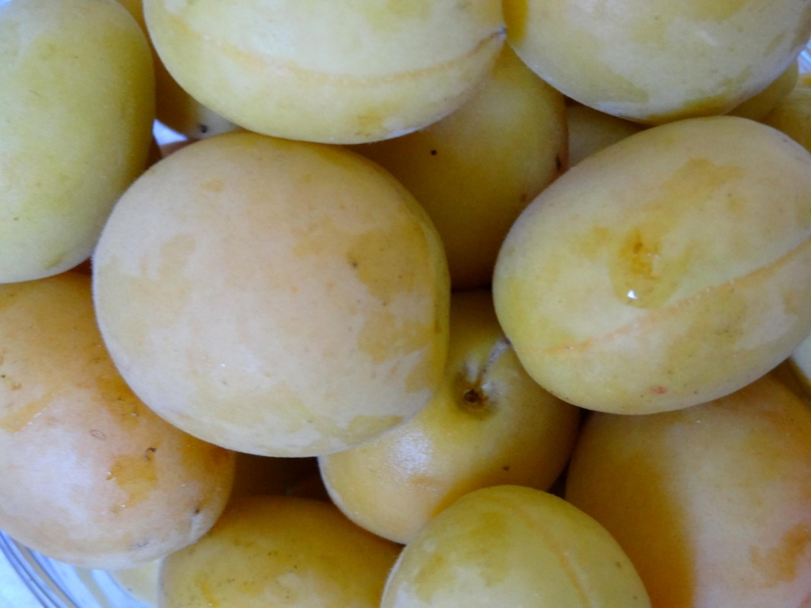 Рецепт Варенье из абрикосов без косточек