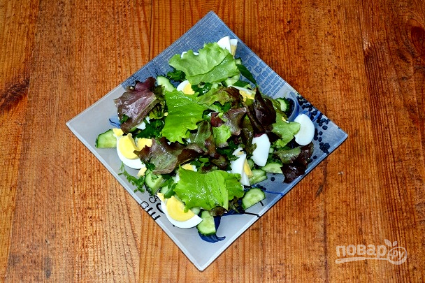 Салат с яйцом, огурцом, зеленым луком и сметаной