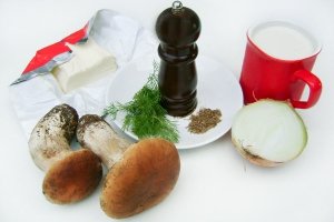 Рецепт Подлива из белых грибов