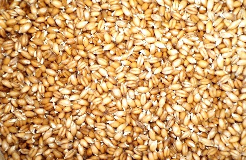 Рецепт Квас из пшеницы