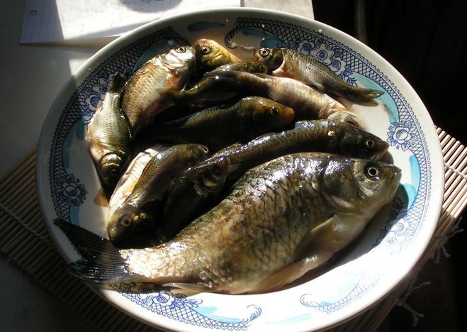 Рецепт Речная рыба в мультиварке
