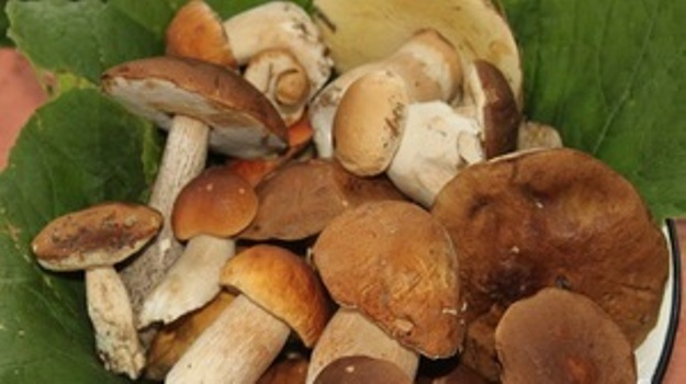 Рецепт Маринованные белые грибы с корицей