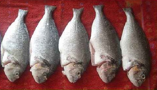 Рецепт Рыба на решетке в фольге