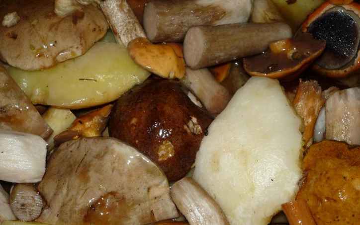 Рецепт Закатка грибов на зиму