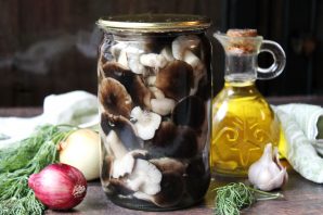Маринованные рядовки на зиму