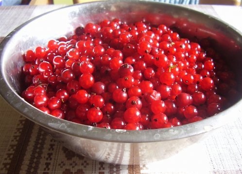 Рецепт Мармелад из ягод