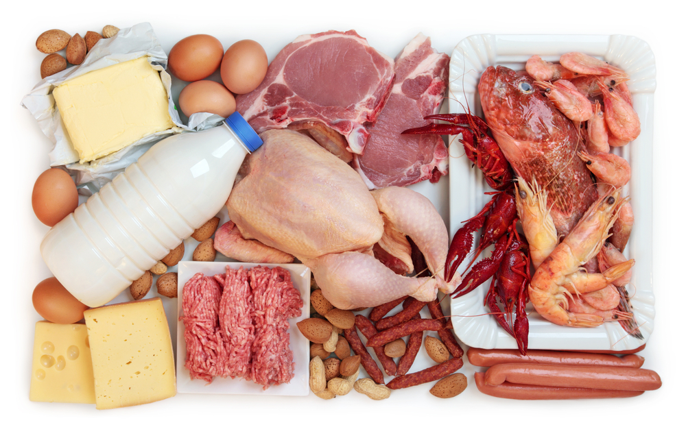 Источник белка-молочные продукты, мясо, морепродукты